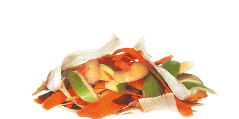 Food Scraps 2